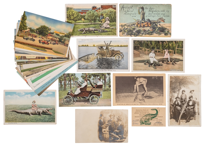 Group of Florida Postcards, Including Alligators and RPPCs.