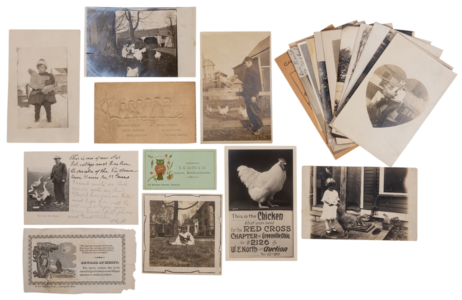 Group of Postcards and Ephemera featuring Owls, Chickens, Ducks, and other Birds.