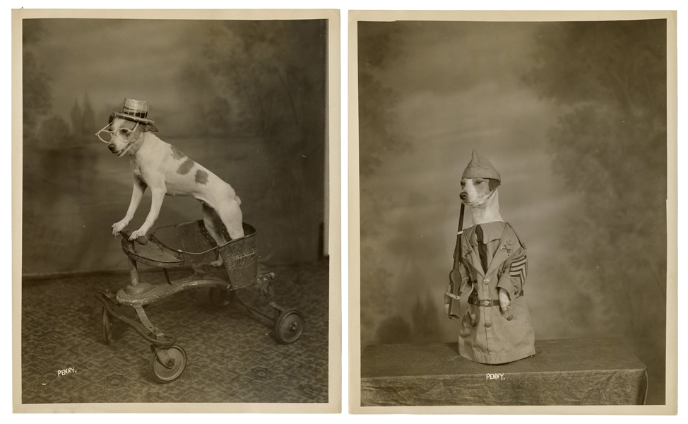 Four Amusing Photographs of a Performing Dog and Its Trainer, Penny and Thurston.
