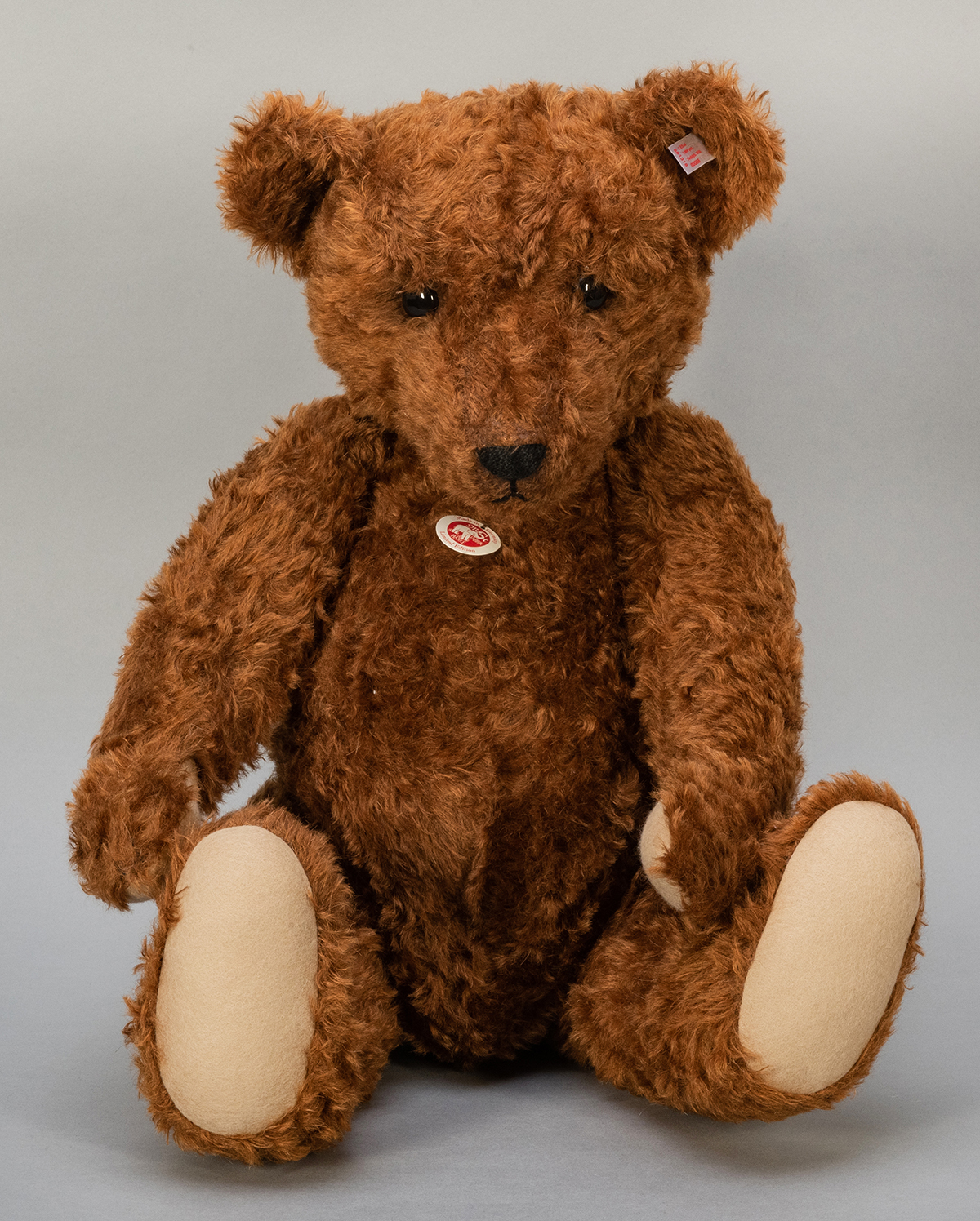 large steiff teddy bear