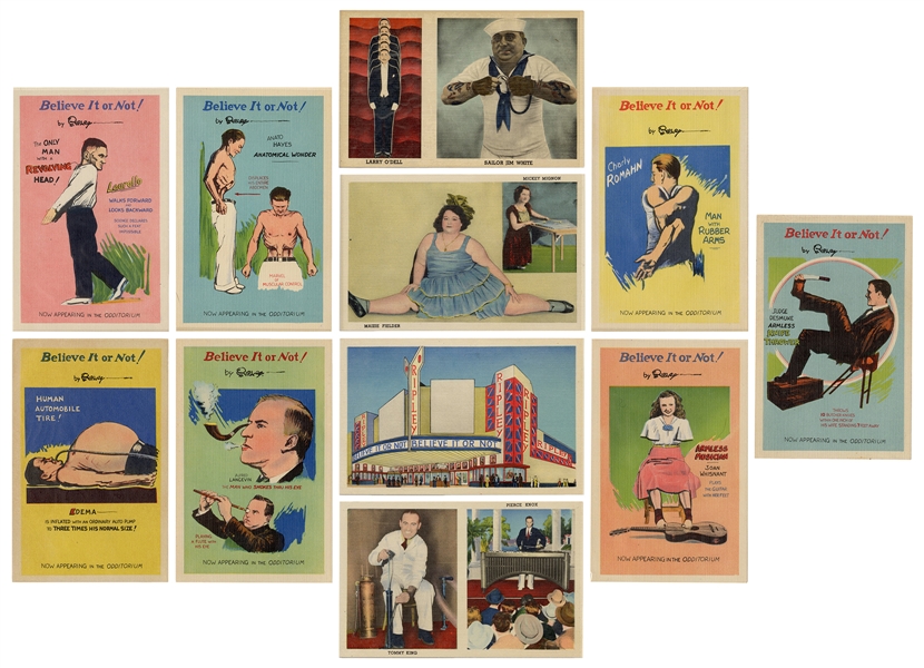  Lot of 11 Ripley’s “Believe It or Not” Postcards. Colorful ...