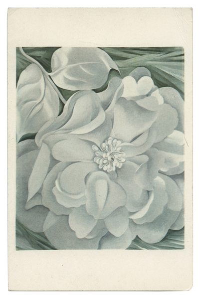 Georgia O’Keefe Signed “White Flower” Postcard. 