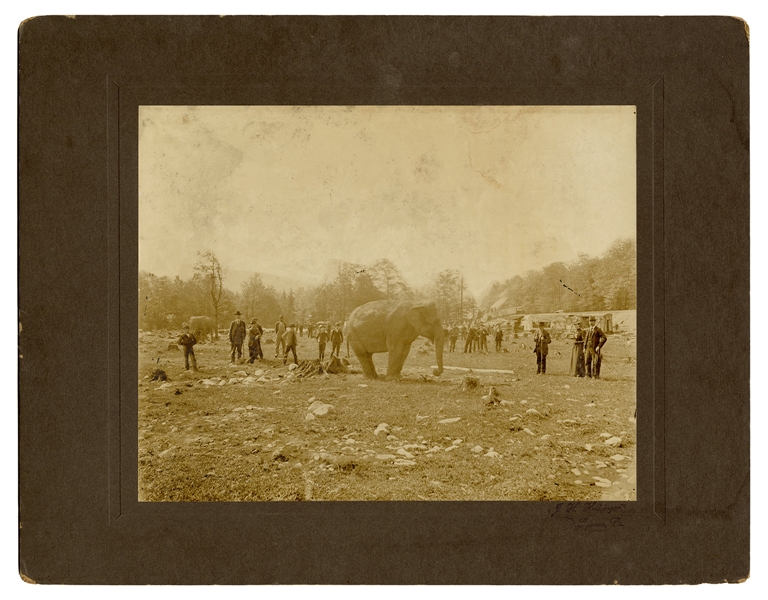 Three Photographs of the 1893 Walter L. Main Circus Train Wreck.