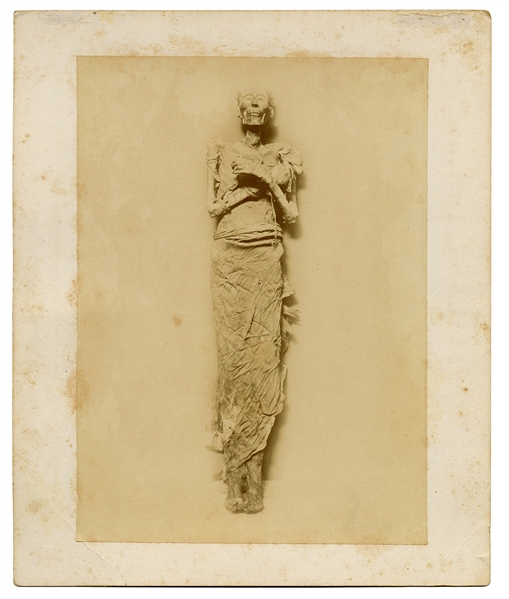 Photograph of Mummy of Rameses II.