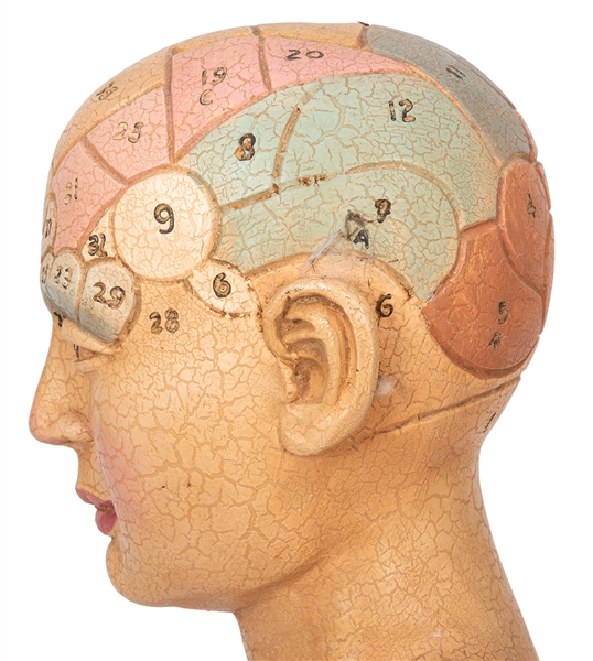 洋書 英語】 Phrenology in Europe and America vol.6 :Cooter