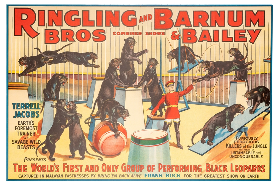 Ringling Bros. and Barnum & Baile. Terrell Jacobs. Performing Black Leopards.