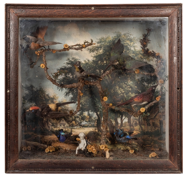 Antique Victorian-Era Bird Diorama.
