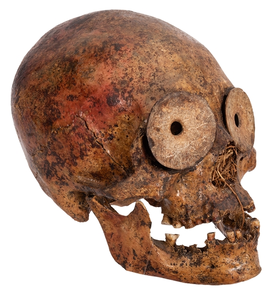 Pre-Columbian Human Skull.