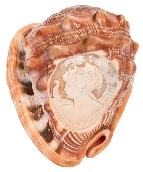 Conch Shell Cameo Carving.