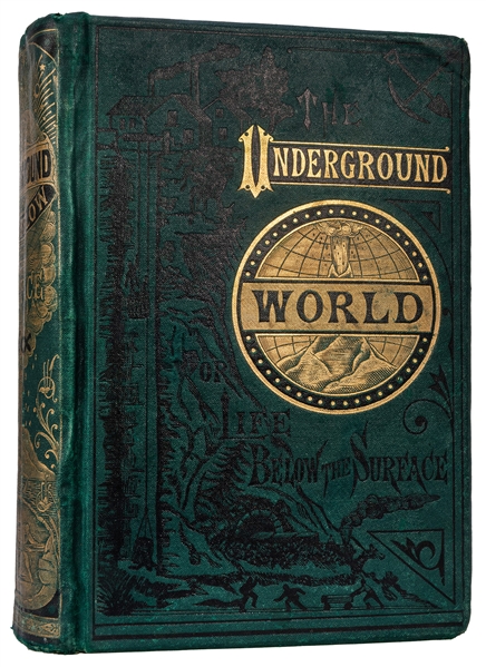 The Underground World: A Mirror of Life Below the Surface.