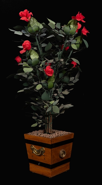 An 11-Bloom Rose Bush Automaton.
