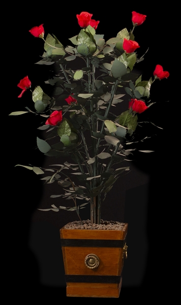A 24-Bloom Rose Bush Automaton.