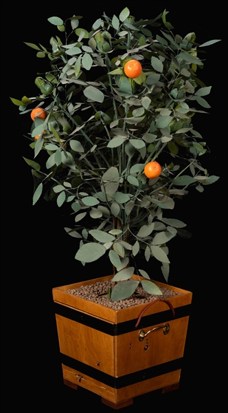 Blooming Orange Tree Automaton.