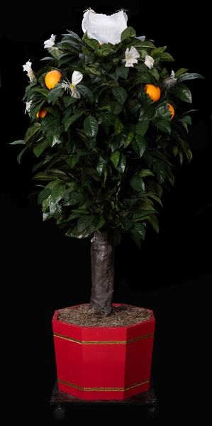 Robert-Houdin Blooming Orange Tree.