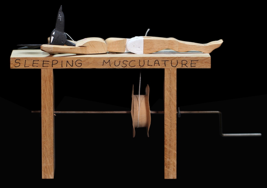 Sleeping Musculature Automaton.