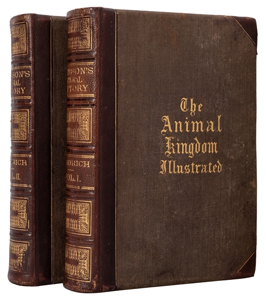Johnson’s Natural History… Illustrating and Describing the Animal Kingdom.
