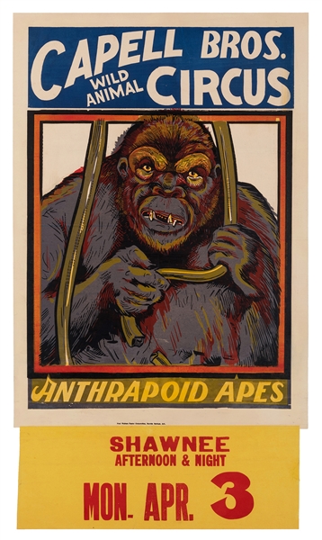 Capell Bros. Wild Animal Circus. Anthrapoid Apes.