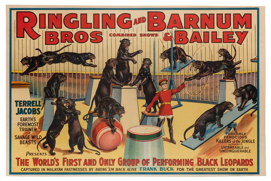 Ringling Bros. and Barnum & Bailey Circus. Performing Black Leopards.