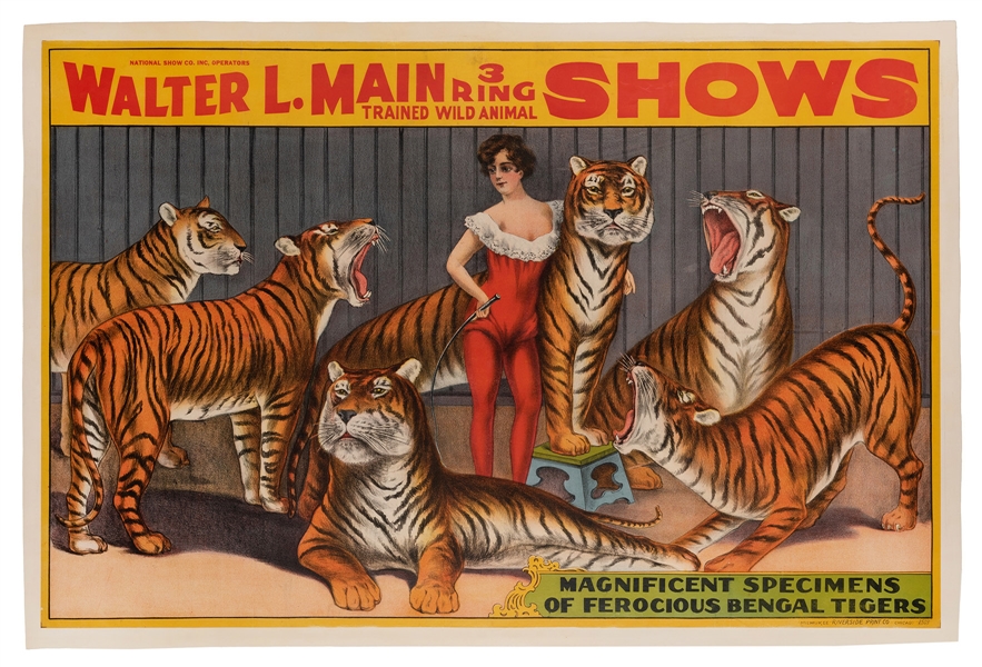 Walter L. Main 3 Ring Shows. Ferocious Bengal Tigers.