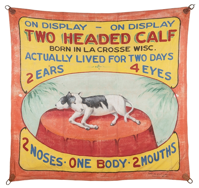 Two-Headed Calf. Sideshow Banner.