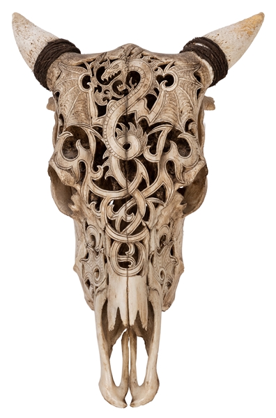 Carved Buffalo/Bull Skull with Dragon Motif.