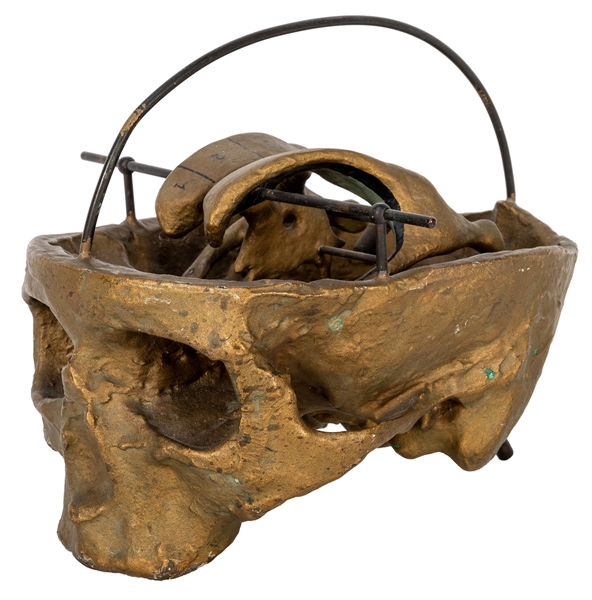 Neuro-Anatomical Bronze Skull Model.