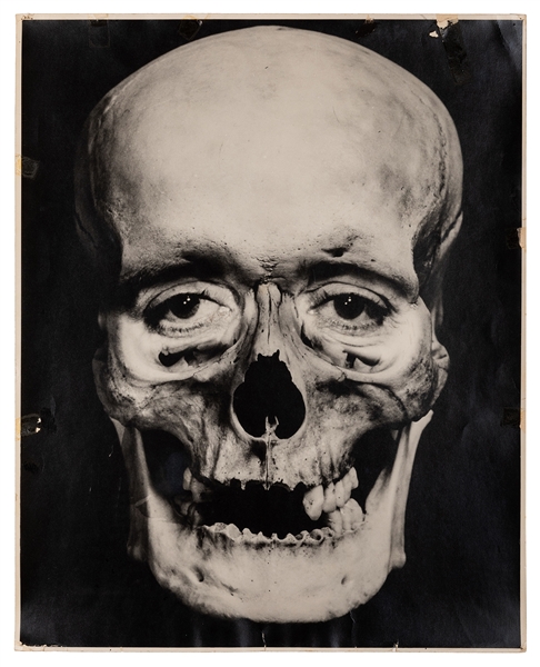 Large Human Skull Photograph.