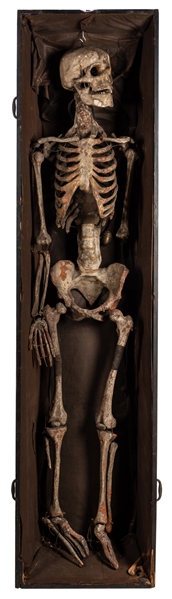 Fraternal Order Skeleton and Coffin Display.