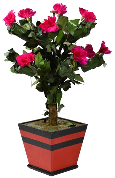  Blooming Rose Bush. Colon, MI: Abbott’s Magic Novelty Co., ...