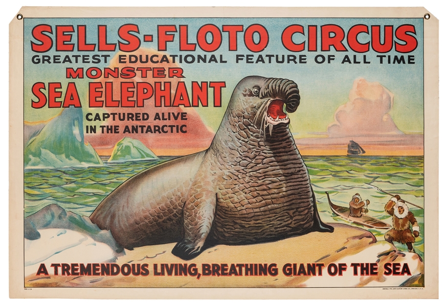  Sells-Floto Circus. Monster Sea Elephant. Chicago: Central ...
