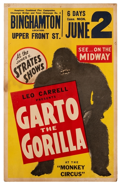  James Strates. Garto the Gorilla. 1940s. Carnival window ca...