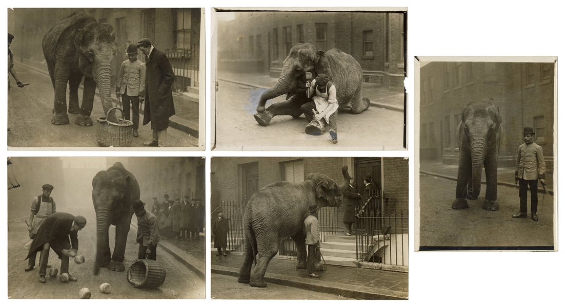  Five Photos of a Performing Elephant. Circa 1920s. Silver p...