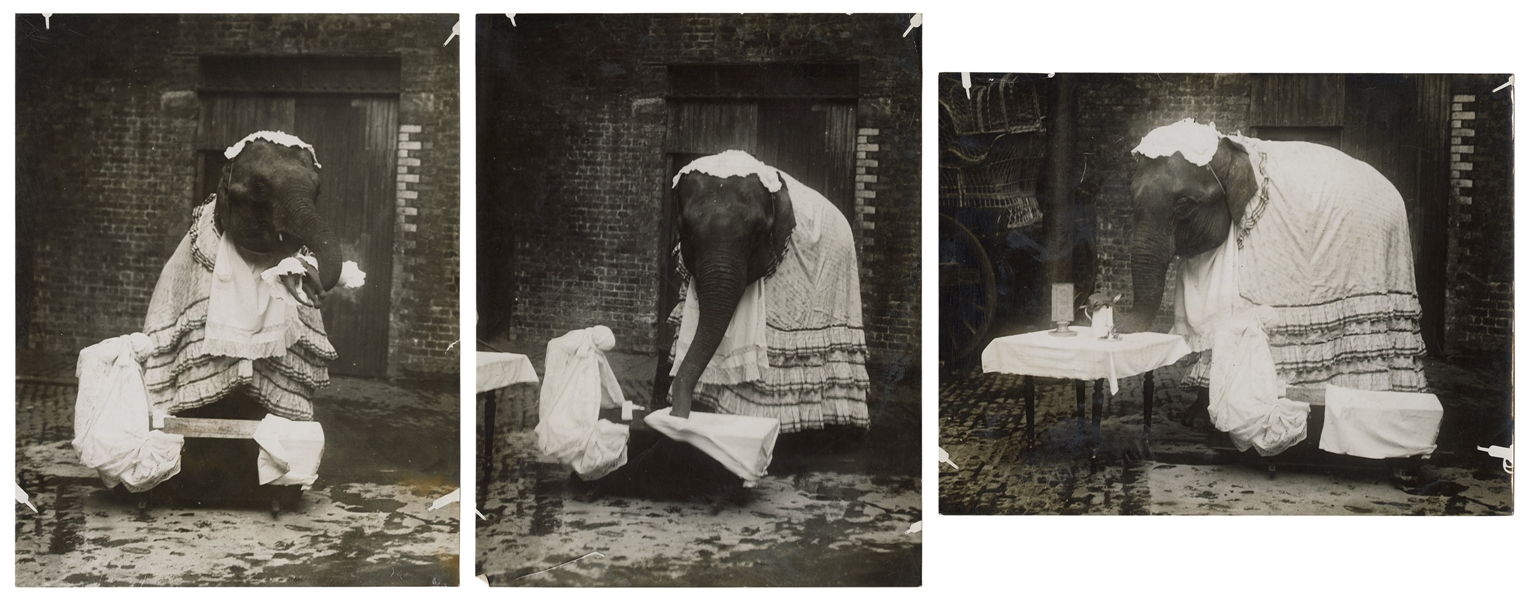  Trio of Performing Elephant Photos. London, ca. 1920s. Seri...