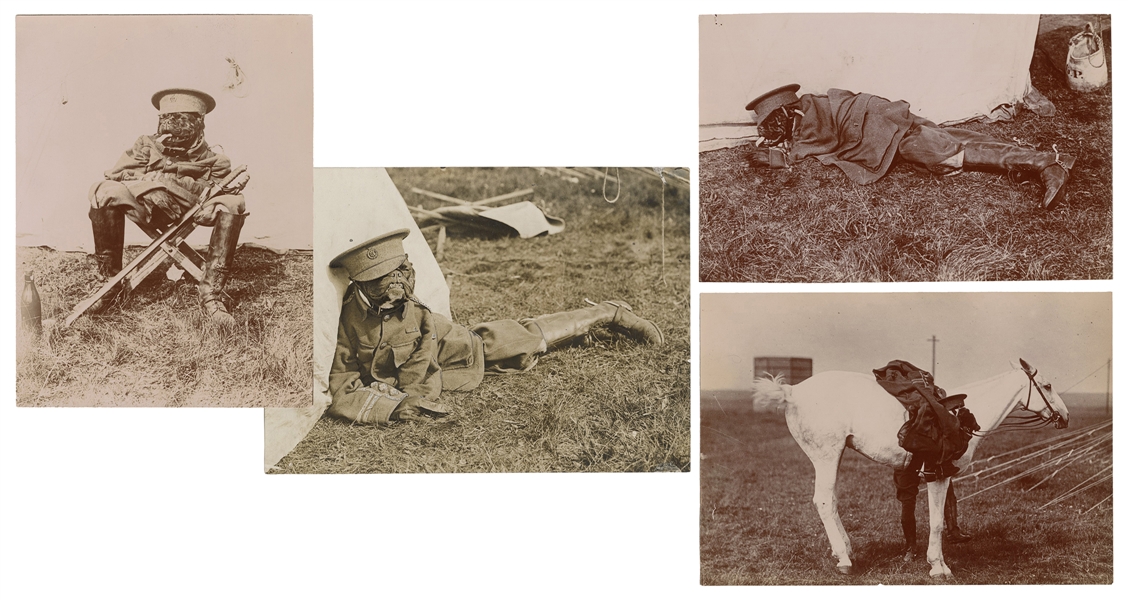  Photographs of a Bulldog in Military Costume. France, ca. 1...