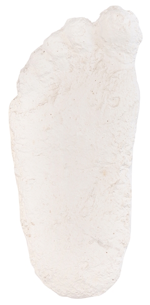  Plaster Cast of Big Foot / Sasquatch Footprint. White plast...
