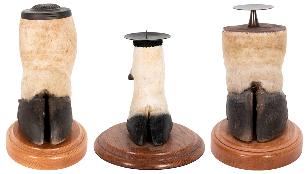  Three Taxidermied Antelope Hoof Candle Pedestals. Average h...