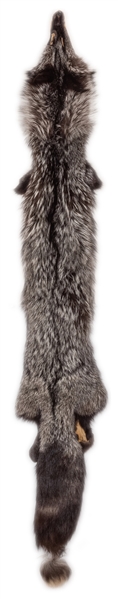  Russian Silver-Grey Fox Fur Pelt. With face. Length 56”.