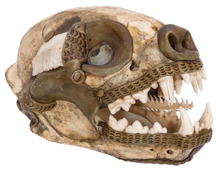  Decorated Feline Skull. Skull of an unidentified feline ani...