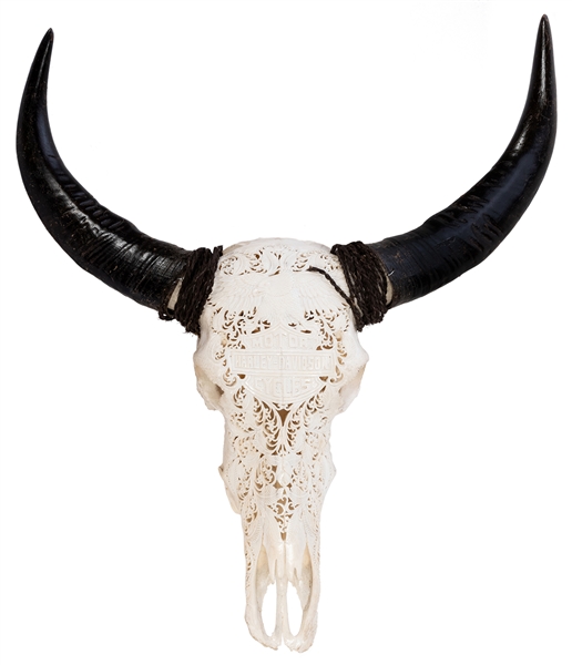 Carved Buffalo / Bull Skull with Harley-Davidson Logo. Intr...