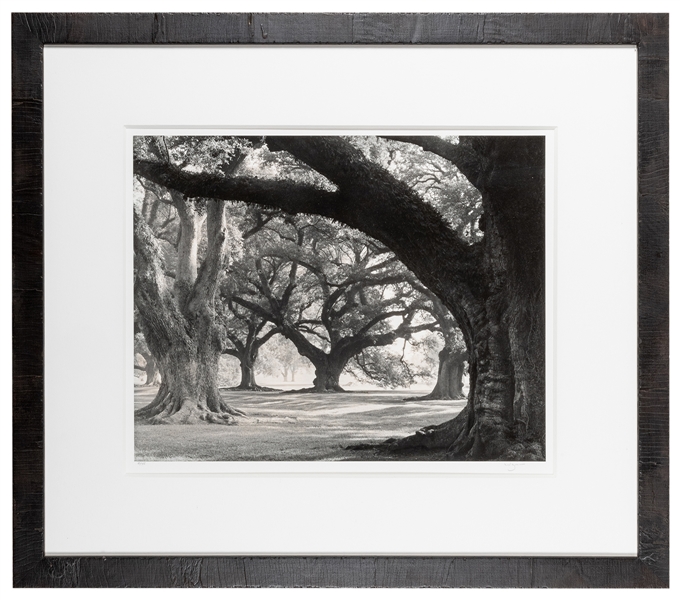  GUION, William (American, 20th century). Oak Alley, West Ro...