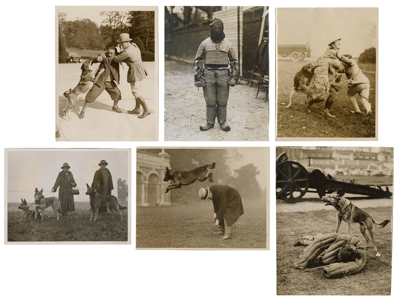  [POLICE DOGS] Nineteen Photographs of Police Dogs and Their...