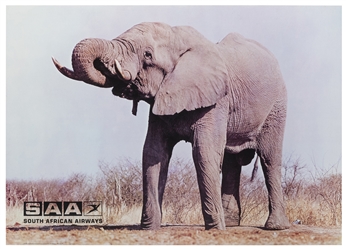  [AFRICA] South African Airways / [Elephant]. South Africa: ...
