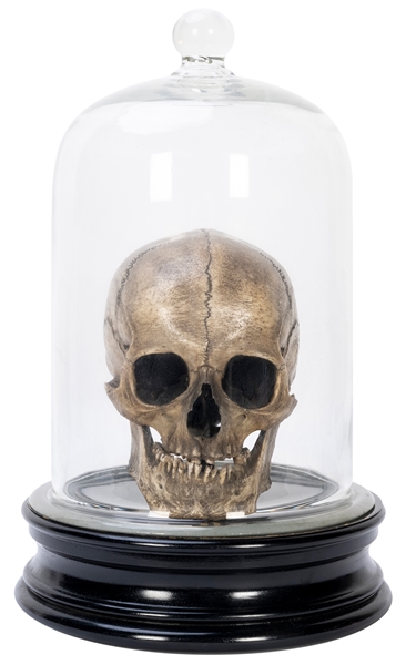  Animated Human Skull. Vienna: S. Klingl, 1920s. Genuine adu...