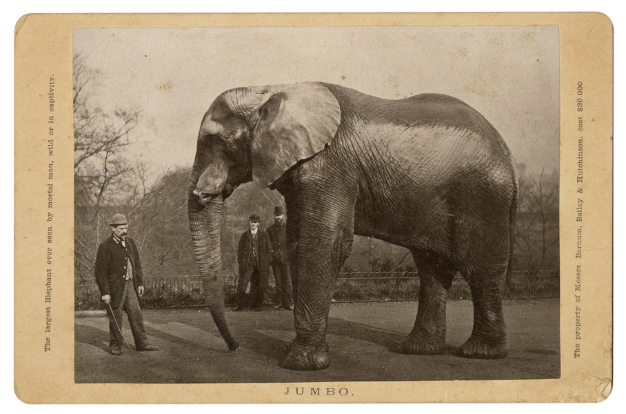  Cabinet Card Photograph of Jumbo the Elephant. New York, ca...
