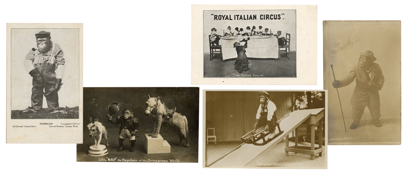  Six Postcards of Circus / Performing Monkeys. Circa 1910s/3...