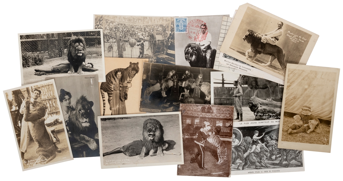  Group of 15 Big Cat Trainer Circus Postcards. Circa 1900s/1...