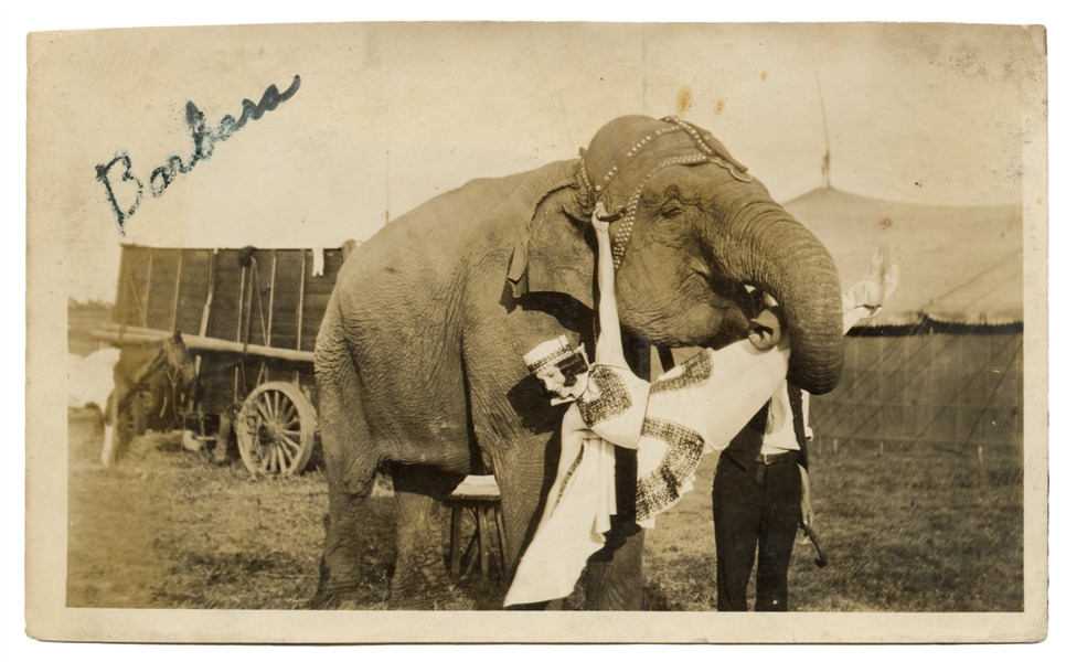  Snapshot of an Elephant Holding a Showgirl. N.p., ca. 1930s...