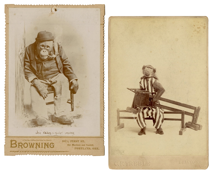 Two Photographs of Performing Monkeys. Circa 1900. The firs...