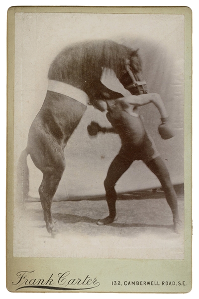  Photograph of a Boxing Horse Act. London: Frank Carter, ca....