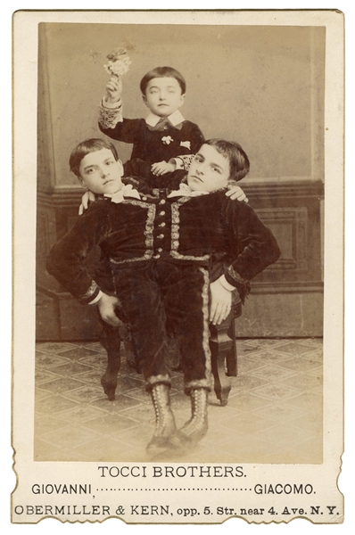  Tocci, Giovanni and Giacomo. Portrait of The Tocci Brothers...